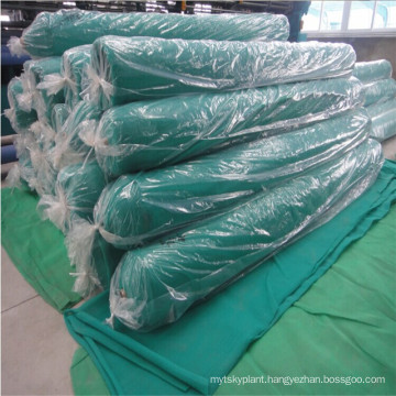 Golder supplier made construction building scaffolding mesh for USA market